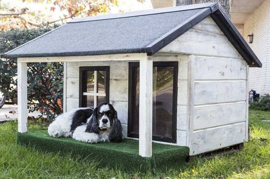 Best Dog House For Hot Weather