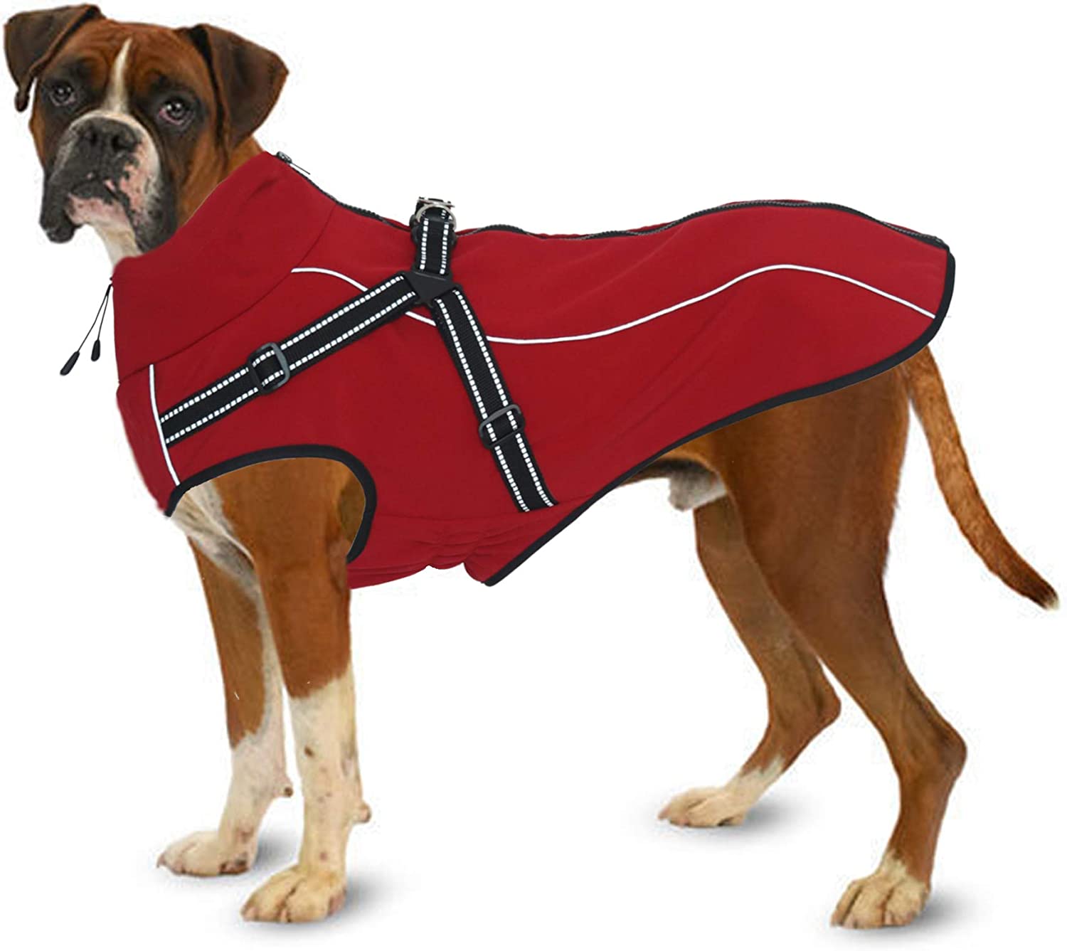 Best Dog Coats For Boxers